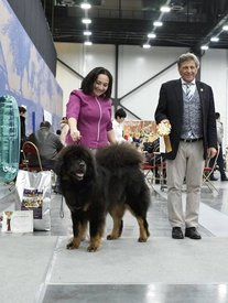 28276572_1826902257354016_6768352396355273332_n.jpg (84.36 КБ, Просмотров: 7945) 28276572_1826902257354016_6768352396355273332_n.jpg