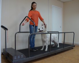 4 - копия.jpg (366.55 КБ, Просмотров: 5004) 4 - копия.jpg