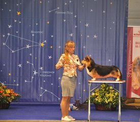 IMG-20180502-WA0017.jpg (147.19 КБ, Просмотров: 7911) IMG-20180502-WA0017.jpg