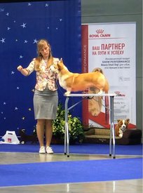 IMG-20180502-WA0021.jpg (80.81 КБ, Просмотров: 7911) IMG-20180502-WA0021.jpg