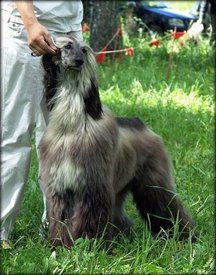 getImagкася.jpg (49.09 КБ, Просмотров: 1441) getImagкася.jpg