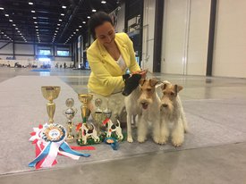 19429762_1652325988113501_3831149339536233315_n.jpg (73.88 КБ, Просмотров: 8185) 19429762_1652325988113501_3831149339536233315_n.jpg