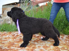 image (49).jpg (209.83 КБ, Просмотров: 3207) image (49).jpg