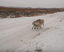 getImage (2).jpg (22.73 КБ, Просмотров: 7595) getImage (2).jpg