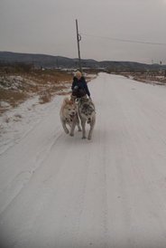 getImage (3).jpg (14.37 КБ, Просмотров: 8160) getImage (3).jpg