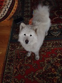 89dfjRAQAsU.jpg (68.24 КБ, Просмотров: 2978) 89dfjRAQAsU.jpg