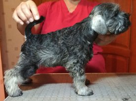 6. кабель Первый Валиант Кнайп фото.jpg (230.31 КБ, Просмотров: 1720) 6. кабель Первый Валиант Кнайп фото.jpg