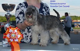 8. мама.jpg (203.9 КБ, Просмотров: 1721) 8. мама.jpg