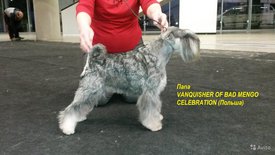 9. папа.jpg (183.97 КБ, Просмотров: 1720) 9. папа.jpg