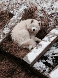 lPpa-7Qvxsg.jpg (84.78 КБ, Просмотров: 3288) lPpa-7Qvxsg.jpg