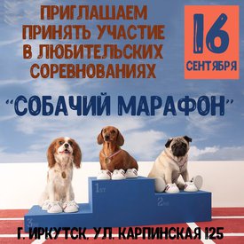 соревнования.jpg (215.28 КБ, Просмотров: 3445) соревнования.jpg