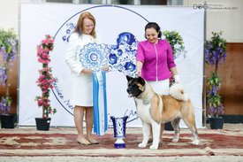 22310253_1580558945320563_1069023713613382181_n.jpg (20.22 КБ, Просмотров: 11394) 22310253_1580558945320563_1069023713613382181_n.jpg