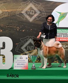 19397054_1459060367470422_7881238616531416842_n.jpg (83.63 КБ, Просмотров: 11395) 19397054_1459060367470422_7881238616531416842_n.jpg