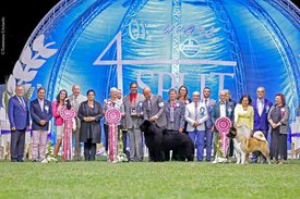 20374531_2007886019237572_7179314412167715705_n.jpg (130.09 КБ, Просмотров: 11385) 20374531_2007886019237572_7179314412167715705_n.jpg