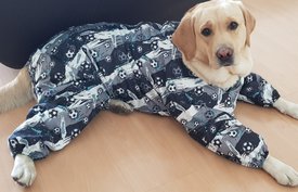 20180908_131223.jpg (213.54 КБ, Просмотров: 4620) 20180908_131223.jpg