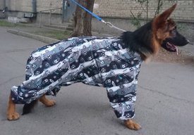 20180908_131244.jpg (215.59 КБ, Просмотров: 4616) 20180908_131244.jpg