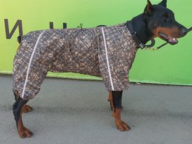 20180908_131457.jpg (195.18 КБ, Просмотров: 4617) 20180908_131457.jpg