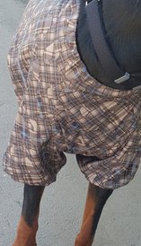 20180908_132354.jpg (422.34 КБ, Просмотров: 4501) 20180908_132354.jpg