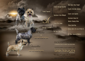 2-1-4.jpg (773.78 КБ, Просмотров: 3582) 2-1-4.jpg