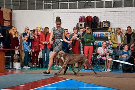 FB_IMG_1537057460287.jpg (100.35 КБ, Просмотров: 6432) FB_IMG_1537057460287.jpg