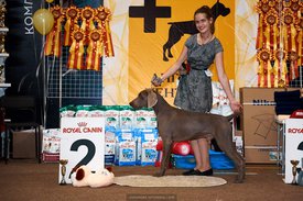 FB_IMG_1537057630064.jpg (111.35 КБ, Просмотров: 6227) FB_IMG_1537057630064.jpg