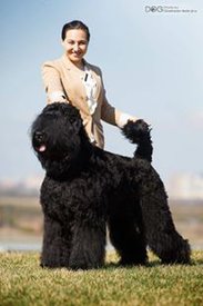 13502084_878644258910855_1349977071705981017_n.jpg (12.13 КБ, Просмотров: 7541) 13502084_878644258910855_1349977071705981017_n.jpg