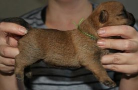 IMG_5124-1.jpg (30.99 КБ, Просмотров: 3799) IMG_5124-1.jpg