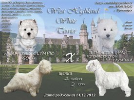 YccClwoAChs.jpg (84.07 КБ, Просмотров: 1375) YccClwoAChs.jpg