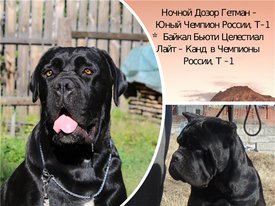 1623133457.jpg (114.62 КБ, Просмотров: 1670) 1623133457.jpg