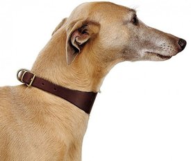 ф1.jpg (73.72 КБ, Просмотров: 4322) ф1.jpg