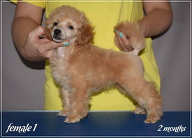 1.jpg (388.48 КБ, Просмотров: 1428) 1.jpg