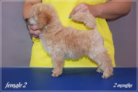 2.jpg (145.04 КБ, Просмотров: 1352) 2.jpg