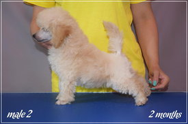 3.jpg (153.89 КБ, Просмотров: 1428) 3.jpg