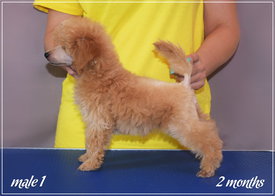 4.jpg (226.36 КБ, Просмотров: 1428) 4.jpg