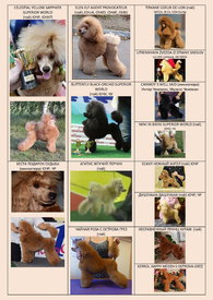 РОДОСЛОВНАЯ ДЕТЕЙ_Страница_1.jpg (356.37 КБ, Просмотров: 1352) РОДОСЛОВНАЯ ДЕТЕЙ_Страница_1.jpg