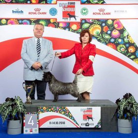 43738047_2403455456349016_5738565177813499904_n.jpg (96.3 КБ, Просмотров: 3524) 43738047_2403455456349016_5738565177813499904_n.jpg