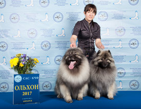 WEB Ангарск 11.03.2017-0697.jpg (613.91 КБ, Просмотров: 5697) WEB Ангарск 11.03.2017-0697.jpg