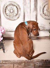 ридж.jpg (162.51 КБ, Просмотров: 1449) ридж.jpg