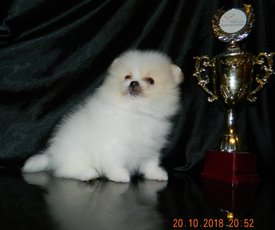 м шаман3.jpg (128.83 КБ, Просмотров: 2122) м шаман3.jpg