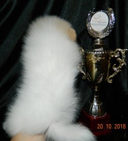 м шаман4.jpg (123.64 КБ, Просмотров: 2542) м шаман4.jpg