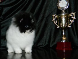 м шторм3.jpg (76.55 КБ, Просмотров: 2122) м шторм3.jpg