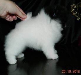 м штурман4.jpg (98.98 КБ, Просмотров: 2117) м штурман4.jpg