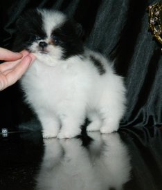 м штурман.jpg (61.6 КБ, Просмотров: 2300) м штурман.jpg