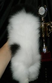 м штурман окрас.jpg (66.29 КБ, Просмотров: 2117) м штурман окрас.jpg