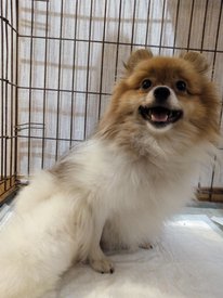 hwhAZAUOCDk.jpg (309.65 КБ, Просмотров: 2117) hwhAZAUOCDk.jpg