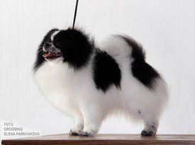 fg9vRD1D7p0.jpg (127.28 КБ, Просмотров: 2299) fg9vRD1D7p0.jpg