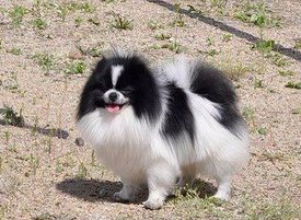 jJv7aAOGVgg.jpg (64.32 КБ, Просмотров: 2116) jJv7aAOGVgg.jpg