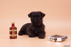 IMG_0157.jpg (110.02 КБ, Просмотров: 3165) IMG_0157.jpg