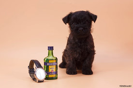 IMG_0222.jpg (106.65 КБ, Просмотров: 3479) IMG_0222.jpg