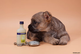 IMG_0204.jpg (143.06 КБ, Просмотров: 3165) IMG_0204.jpg